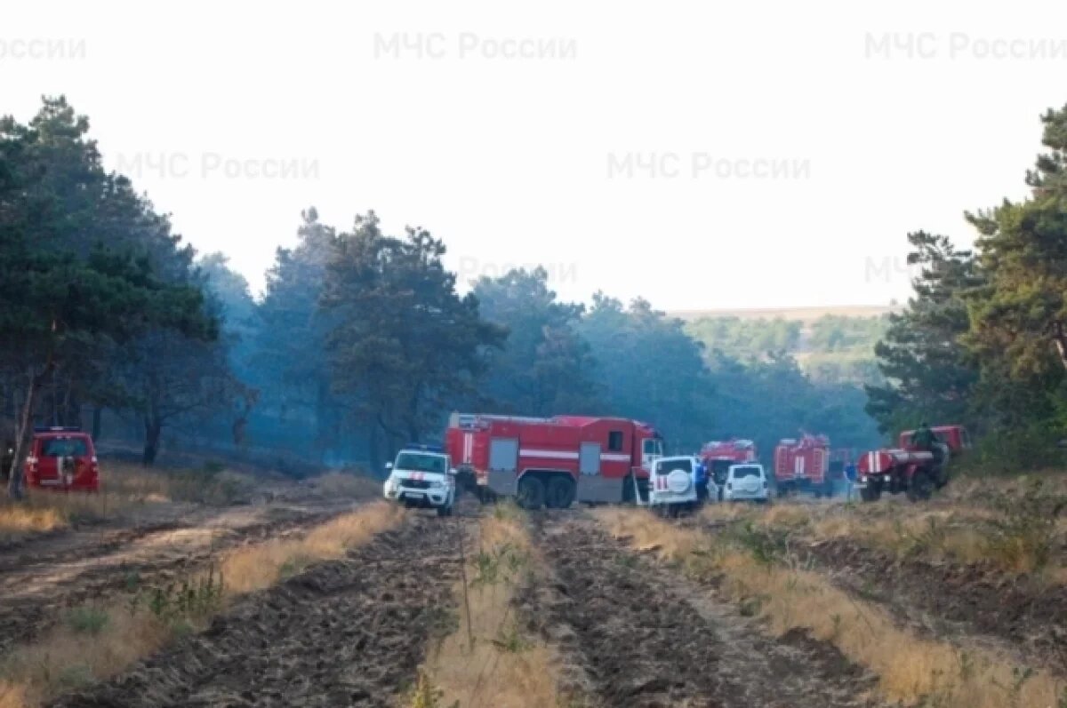    В Крыму потушили пожар в Симферопольском районе