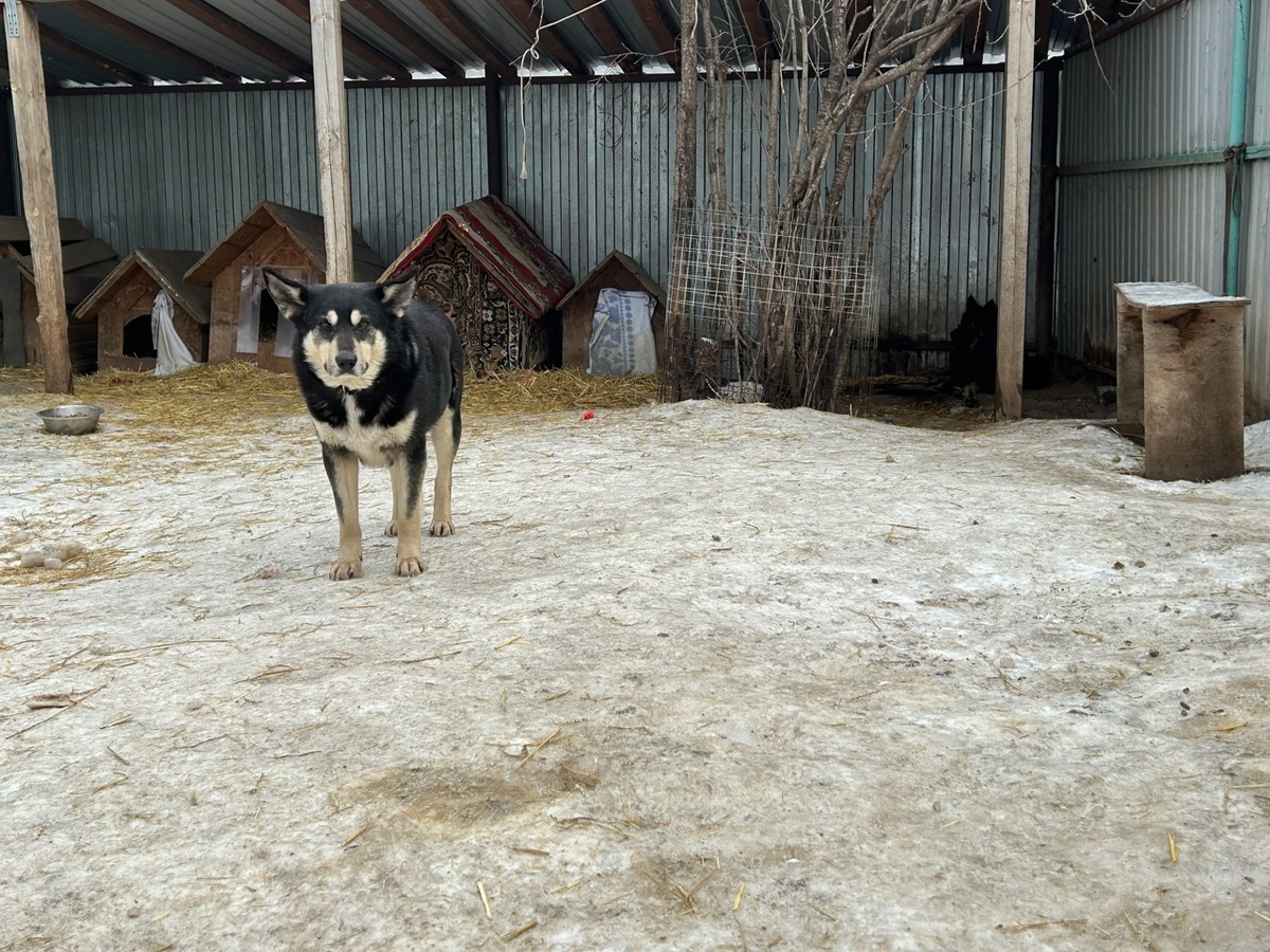    Фото из архива Progorod