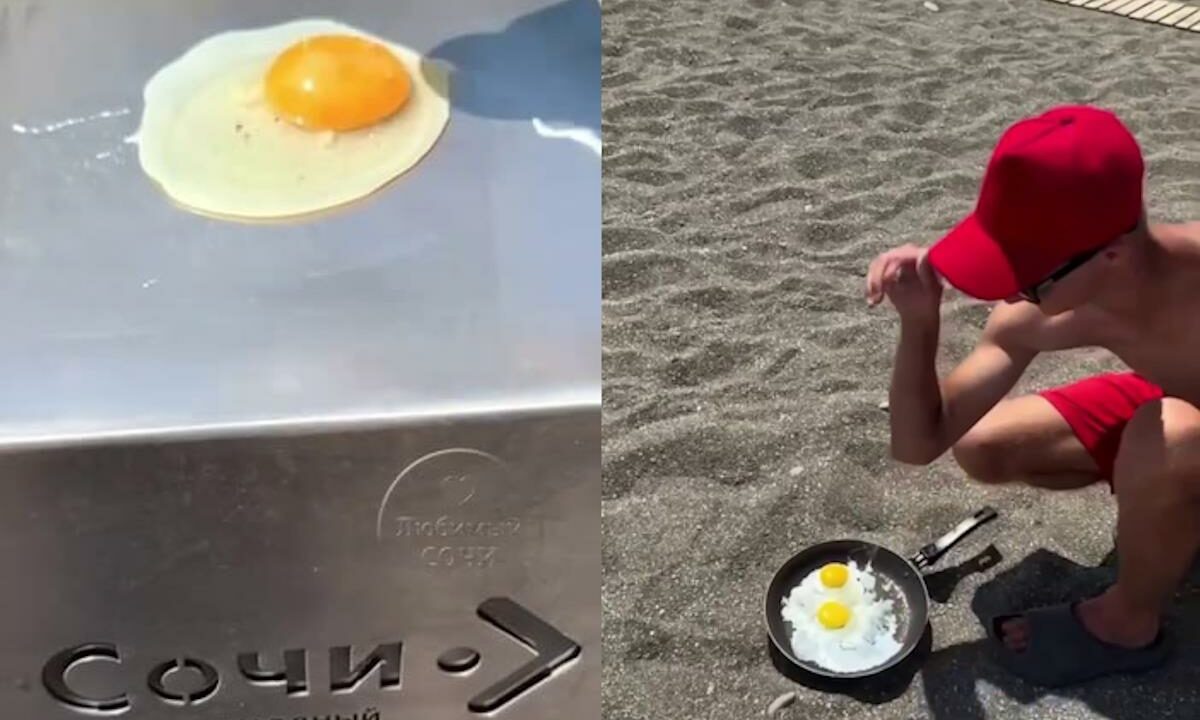    Фото t.me/Chp_Dagomys