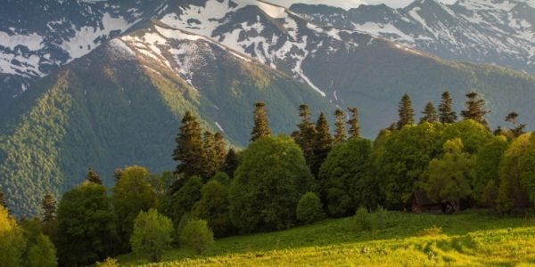    Фото пресс-службы Кавказского биосферного заповедника