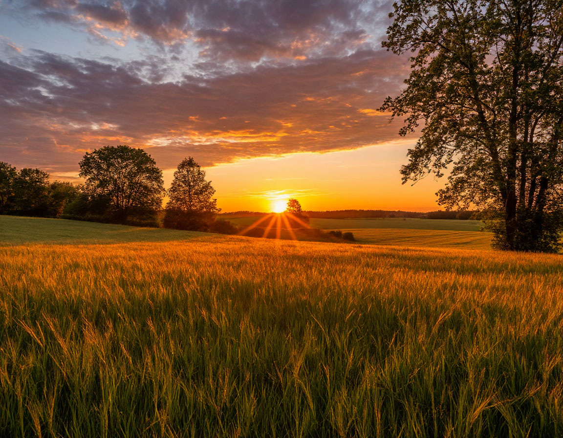 фото: сгенерировано ИИ 