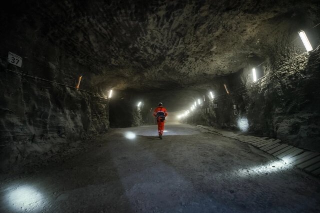   Эту работу можно будет увидеть на выставке. Фото: Норникель/ Катерина Дубровская