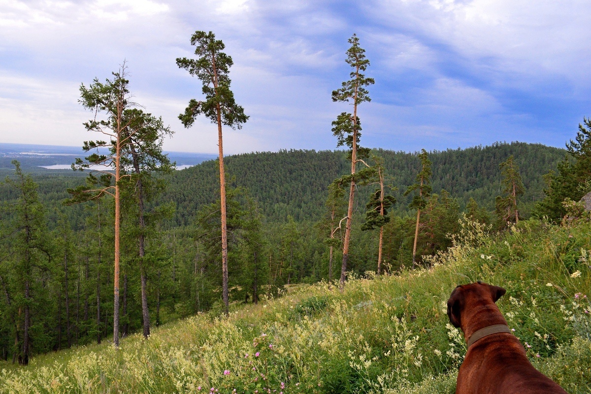 Фото: Марина Гинтер