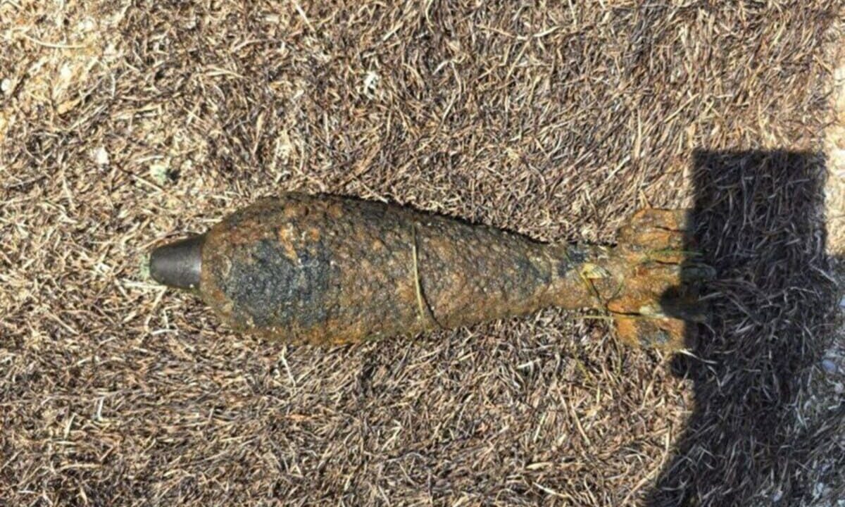    Фото t.me/rosgvard_krasnodar