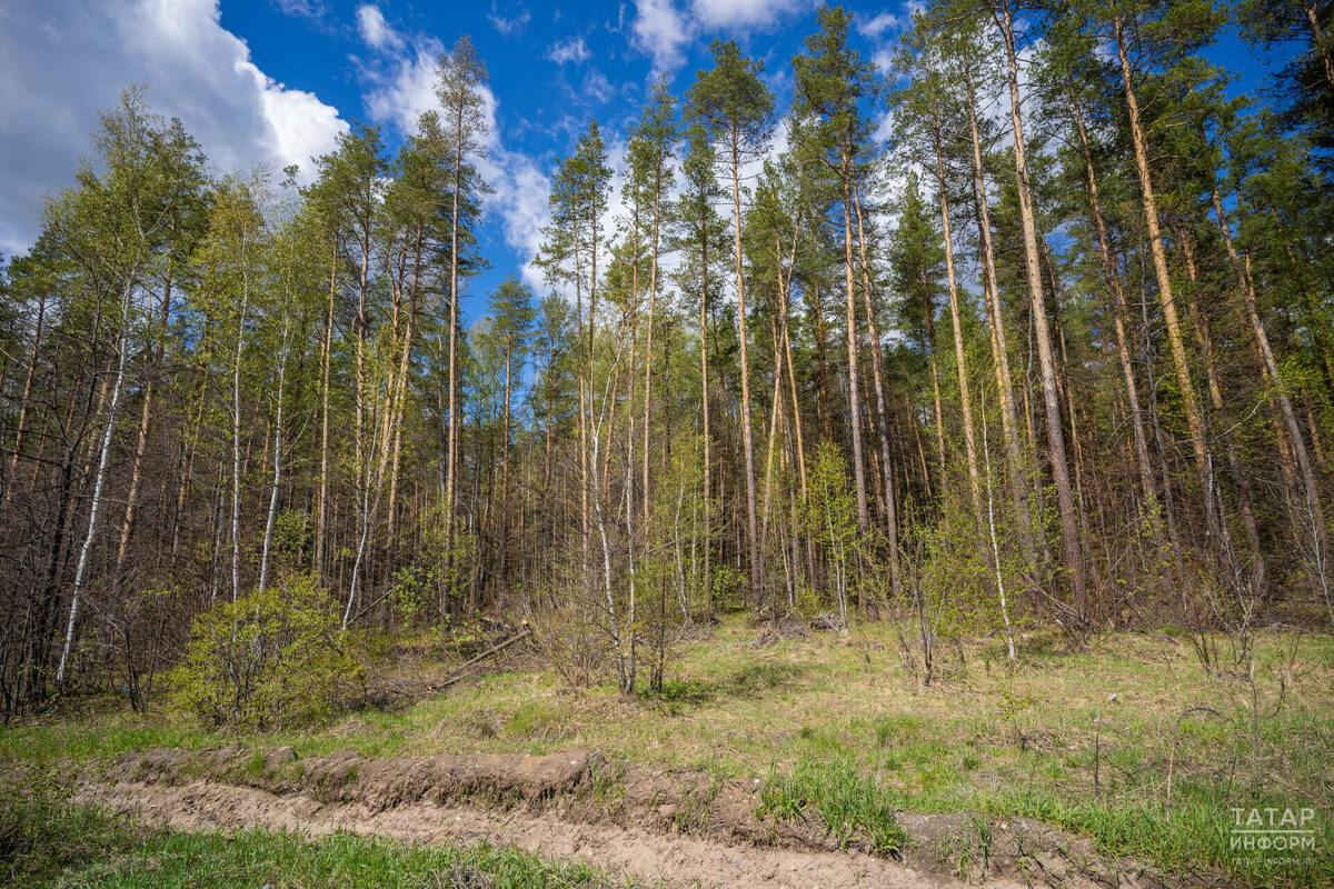 Фото: © «Татар-информ»