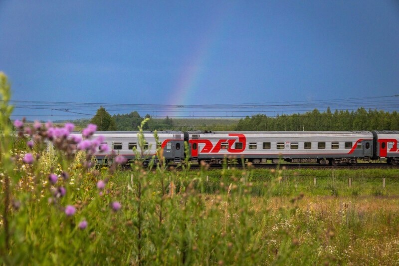 В поездах теперь делать строго запрещено: как теперь будут ездить пассажиры РЖД