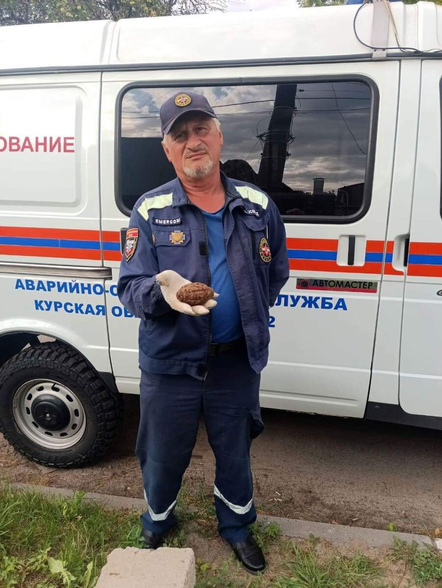    Фото АСС Курской области