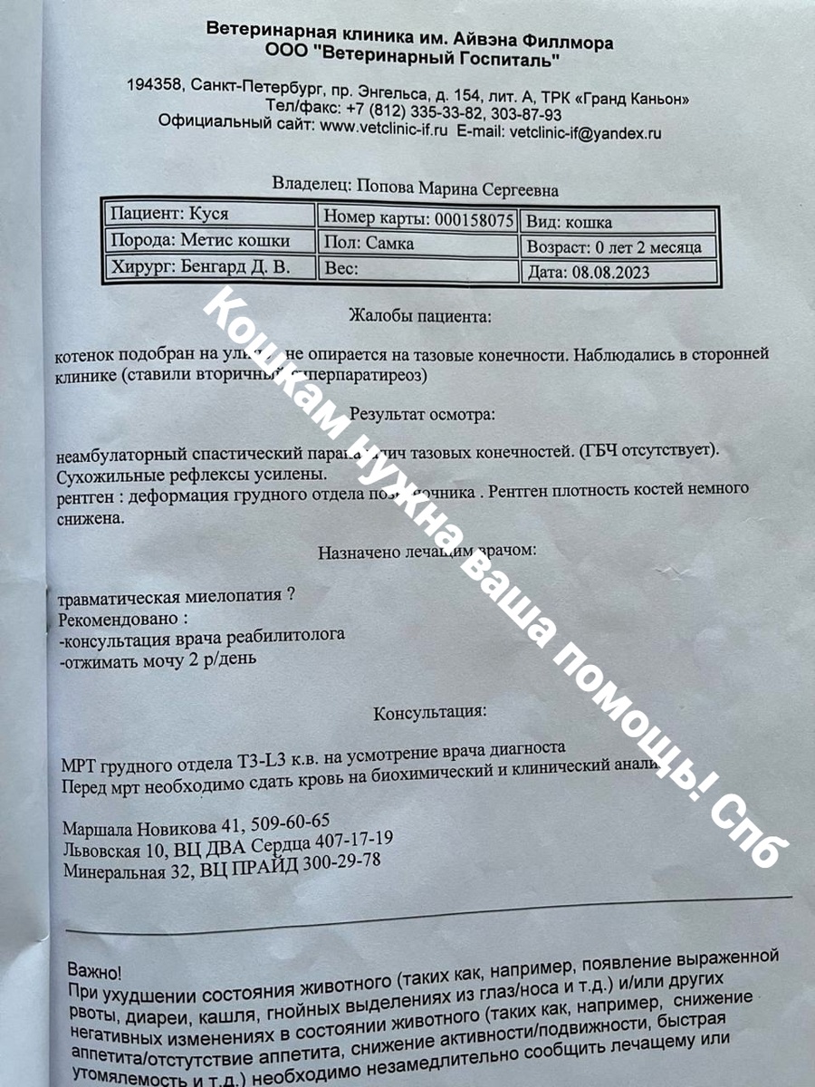 Консультация к Чеку и акту от 08.08.2023 на сумму 4590 руб. за приём невролога Кусе в веклинике А. Филлмора.