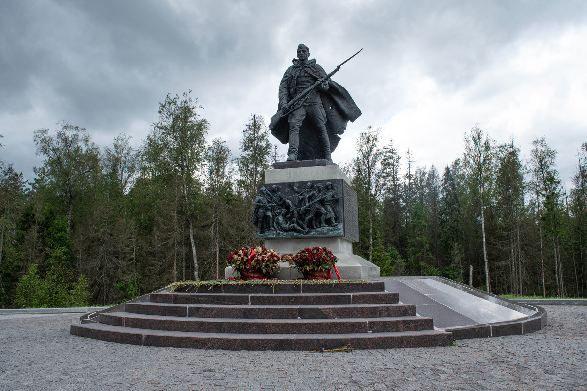 М11, Новгородская область. // фото автора