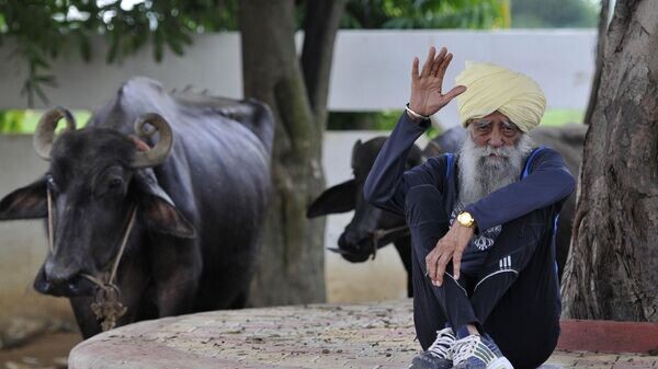    © Getty Images / Hindustan Times / Keshav Singh