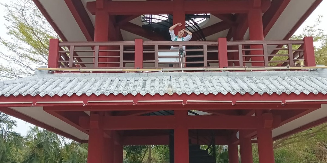 Парк обезьян - лучше чем остров на Хайнань 2025