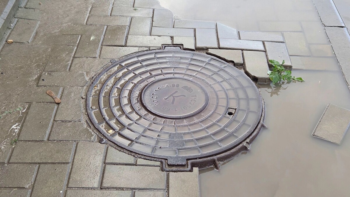     Автор: KubanPress Источник: kubanpress.ru