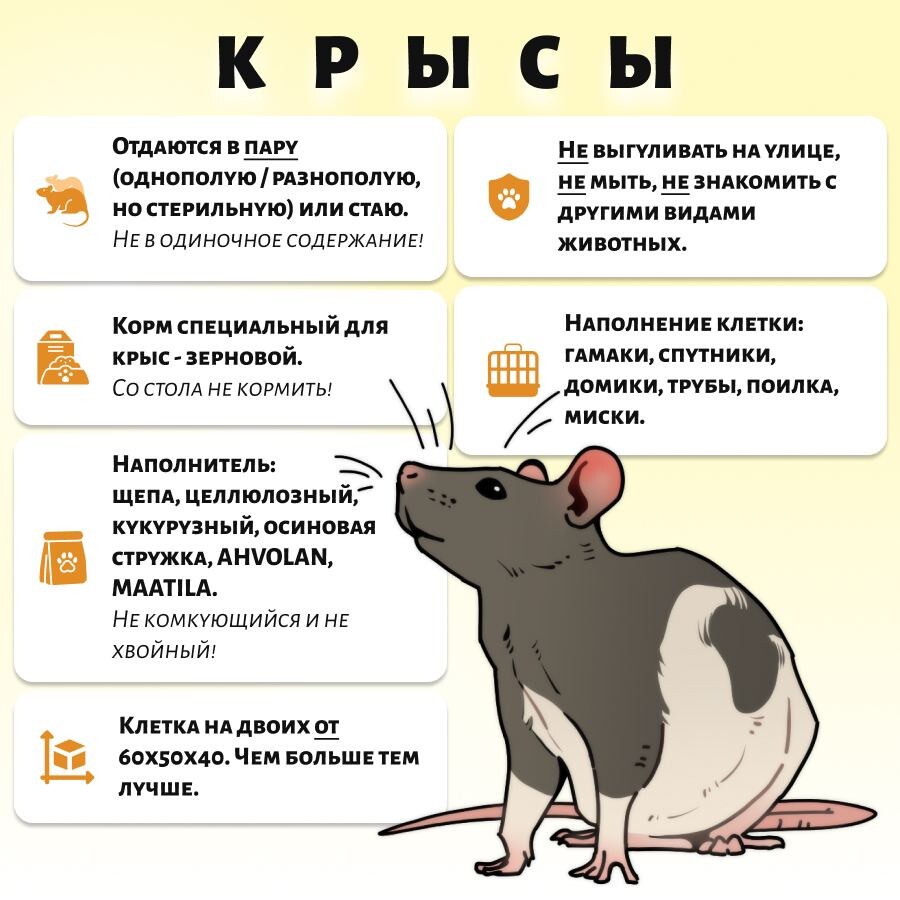    Фото: Фото автора