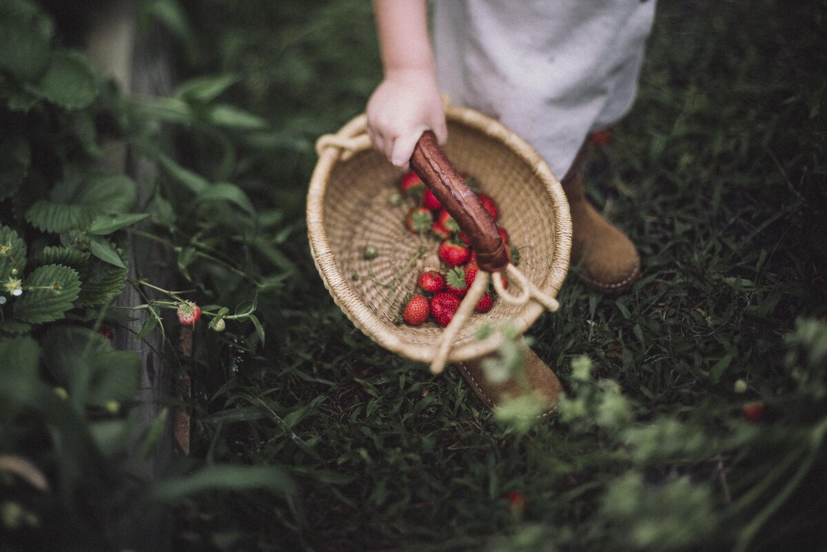 Фото thenoisetier.com 