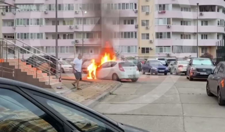    Фото: Telegram/ЧП Сочи