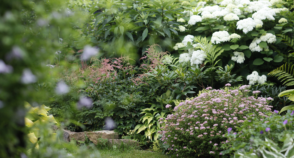 Сад 12 июля, часть 2