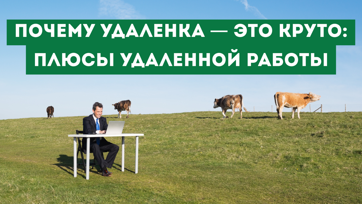 https://evaprodengi.ru/2025/07/15/udalenka-v-rossii-plyusy-i-minusy-udalennoj-raboty/