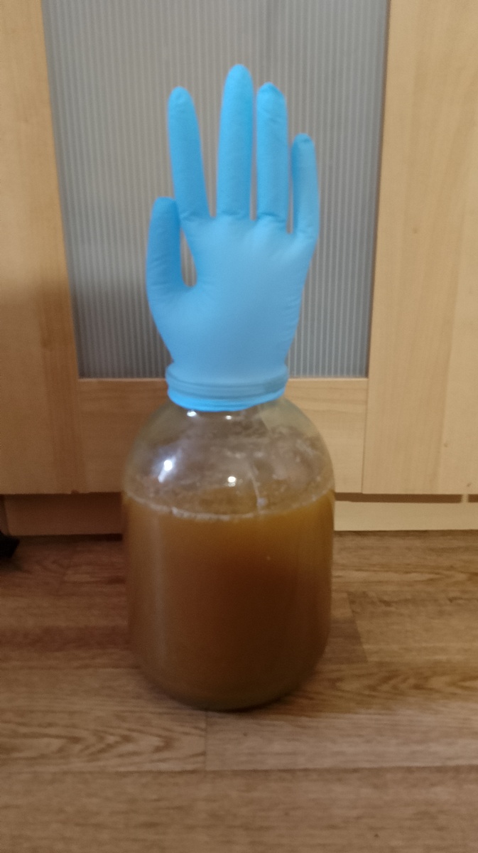 Фото на следующий день