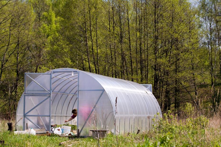    Shutterstock/FOTODOM