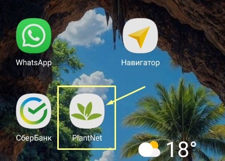 Вид кнопки (иконки) приложения на телефоне