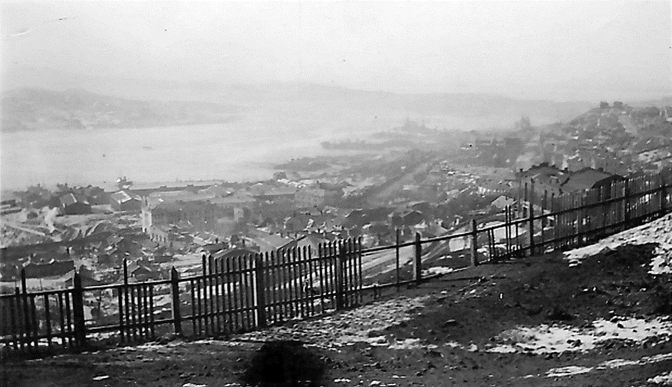 Вид на город Владивосток и бухту Золотой Рог с высоты улицы Ботанической.
Фотограф Меррилл Хаскелл. 1919 г.
Источник: Владивосток в фотографиях Меррилла Хаскелла. 11 августа 1919 – 23 февраля 1920. Хабаровск, 2009. С. 100.
