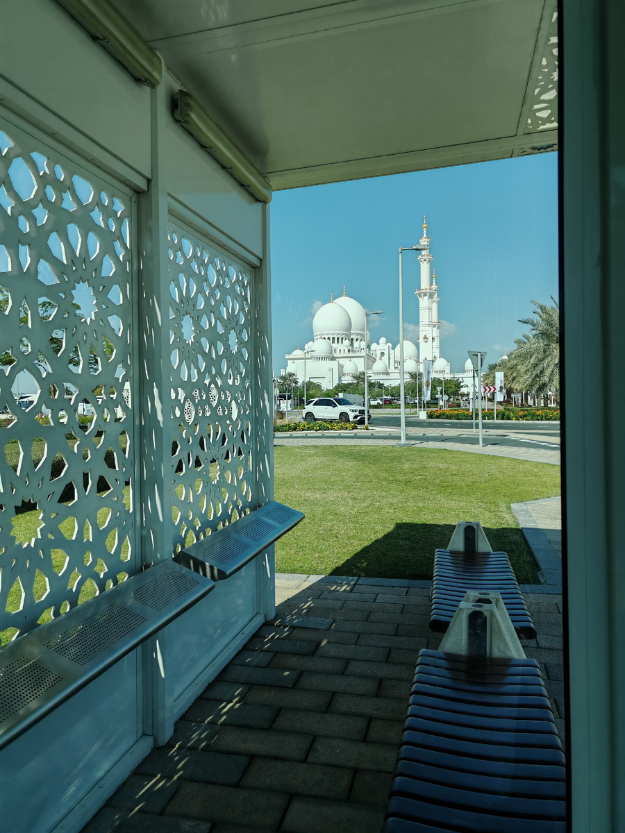 Прекрасный вид на Большую мечеть через стекло