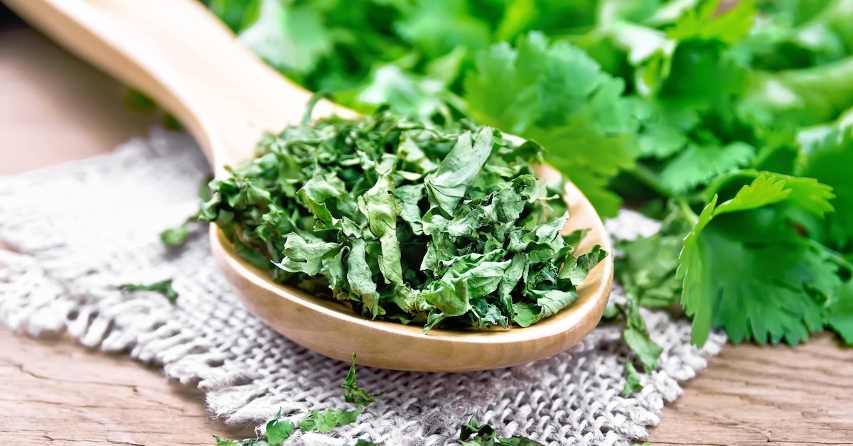 Сушеная кинза