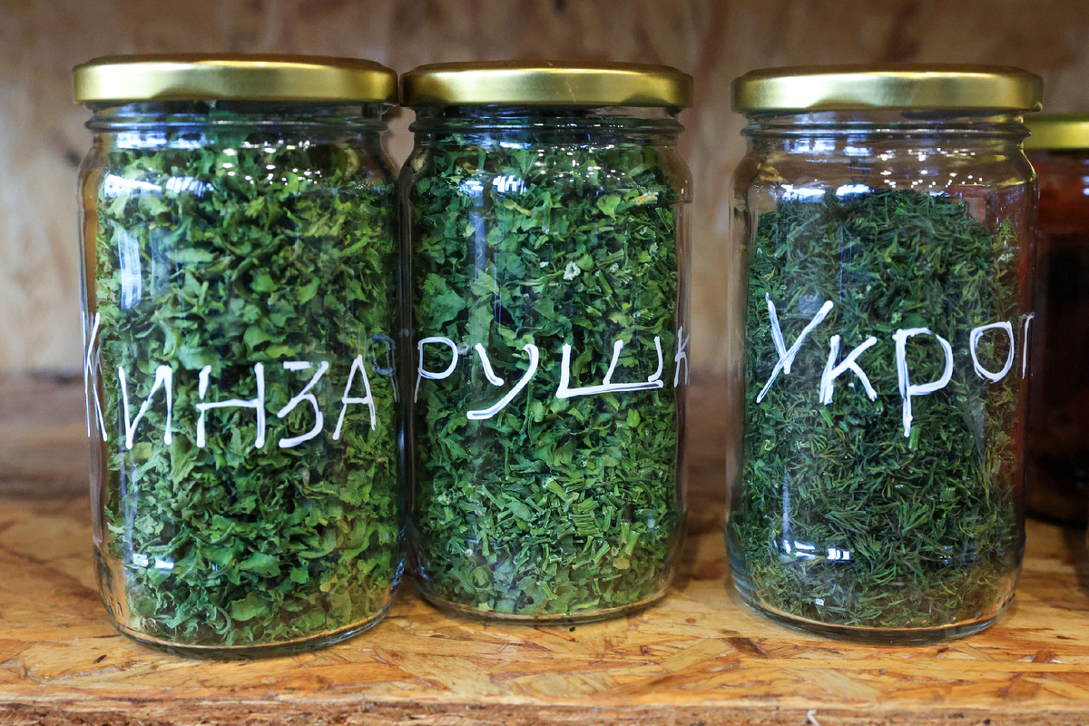 Сушеную зелень лучше хранить в герметичных банках.