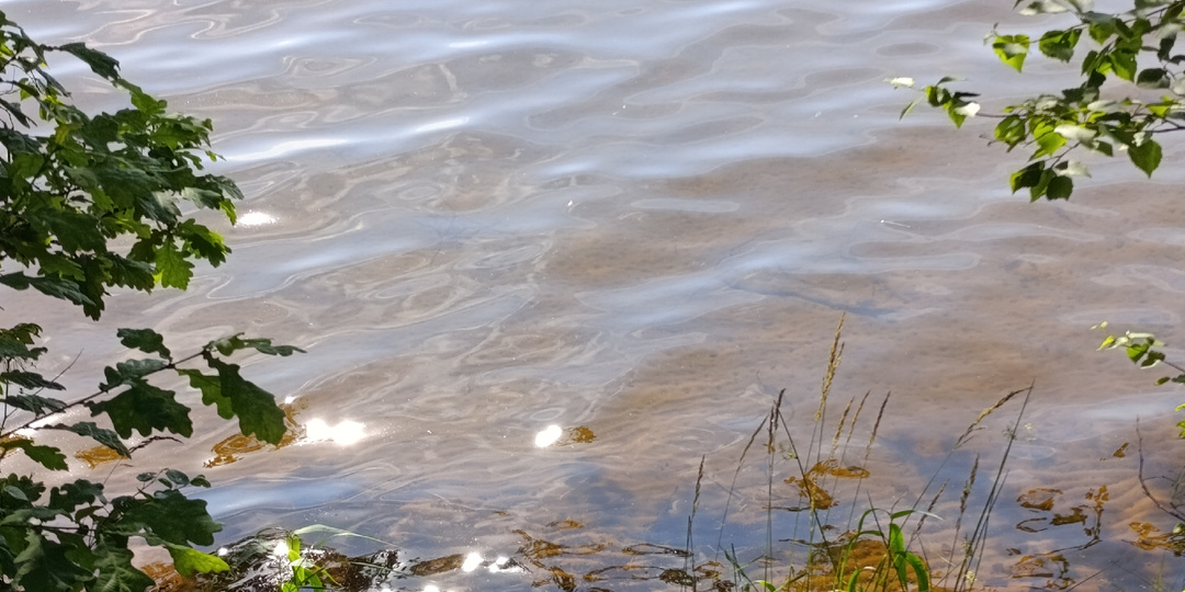 Тропа вокруг озера Хепоярви.