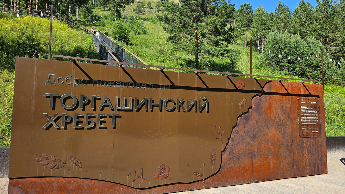 Начало пути