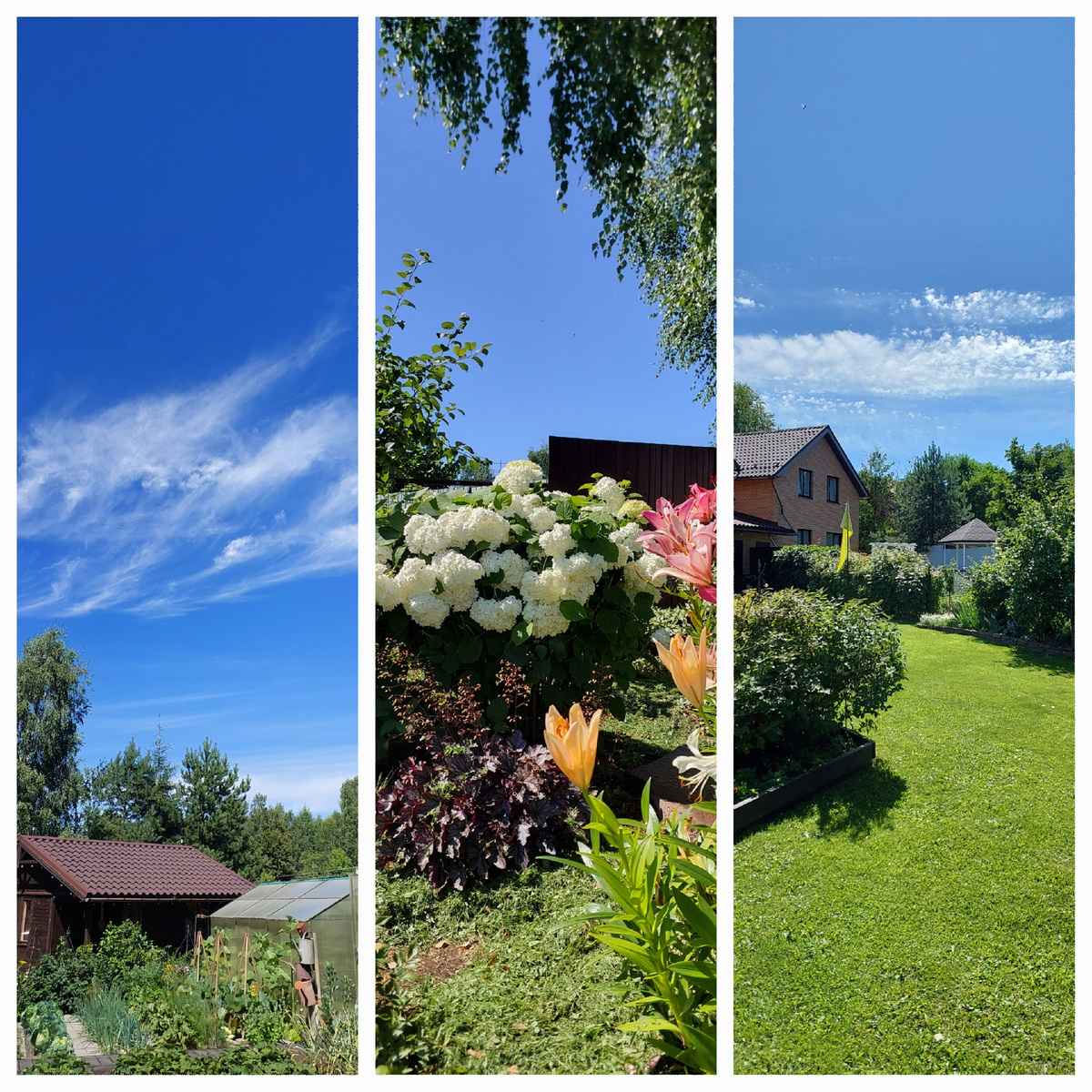 13 июля север-запад-юг