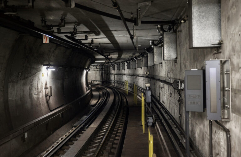    Фото: freepik.com/freepik Ольга Чистова