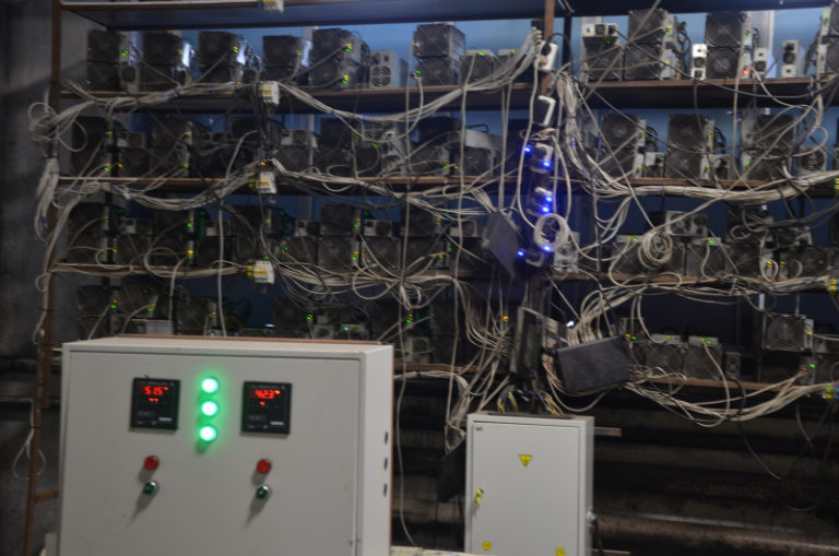    Фото с сайта МВД Ксения Евдокимова