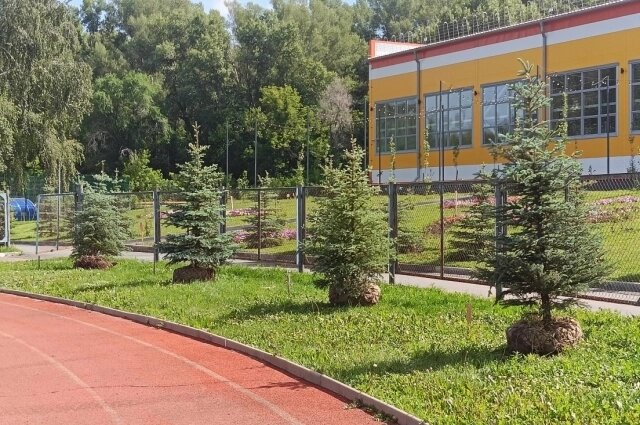    Фото: Медногорский медно-серный комбинат