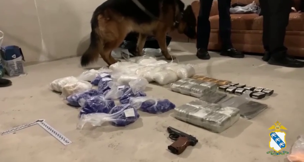 Фото: УМВД России по Курской области