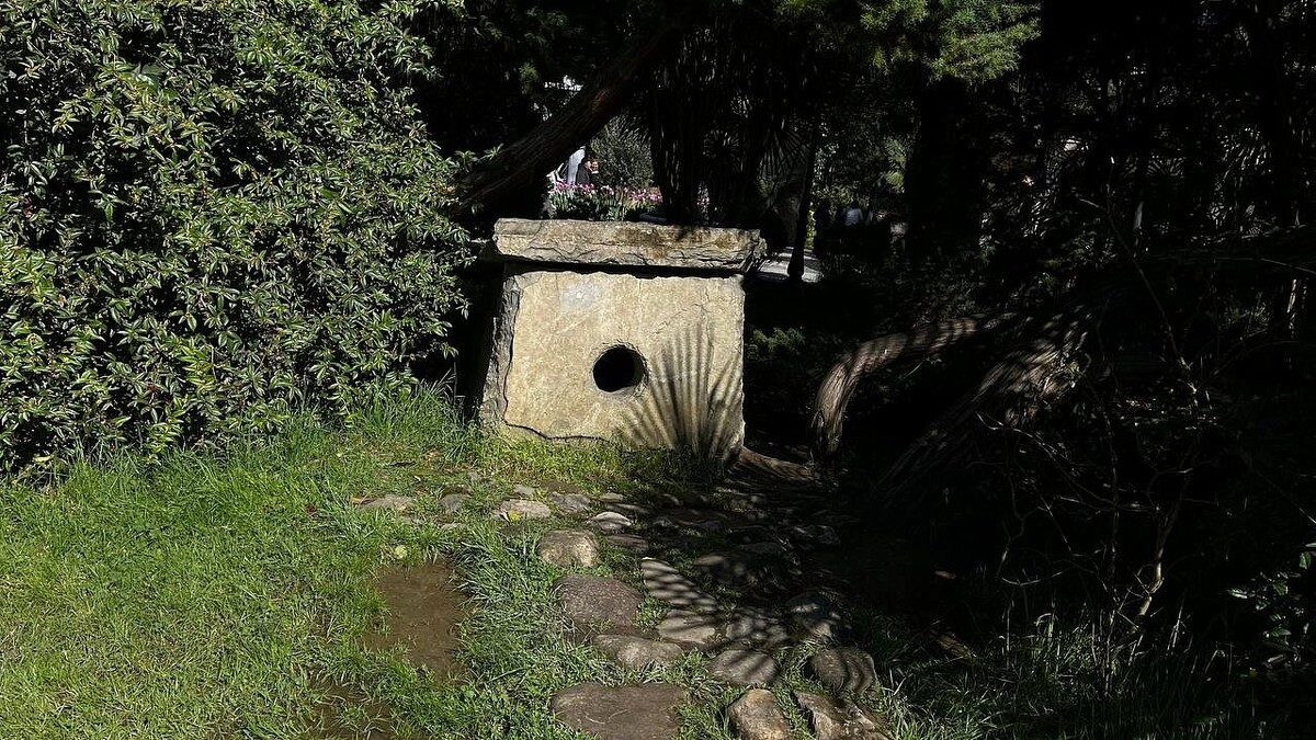    Фото: телеканал «Краснодар»