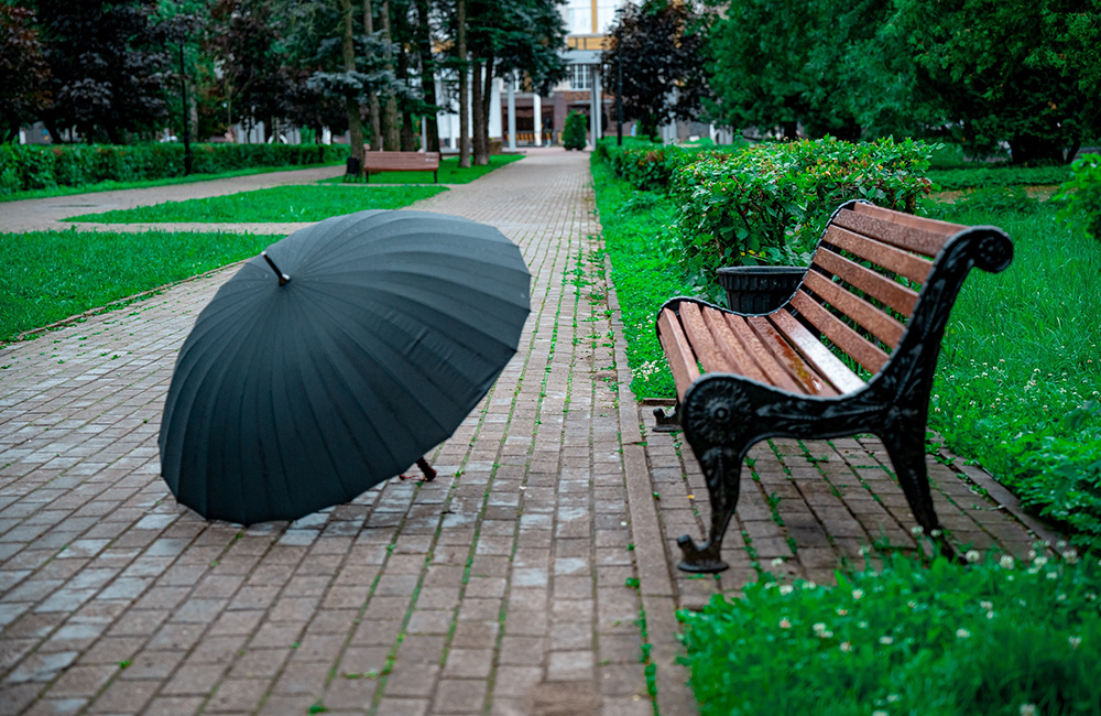 Погода в Твери 15 июля. С дождем