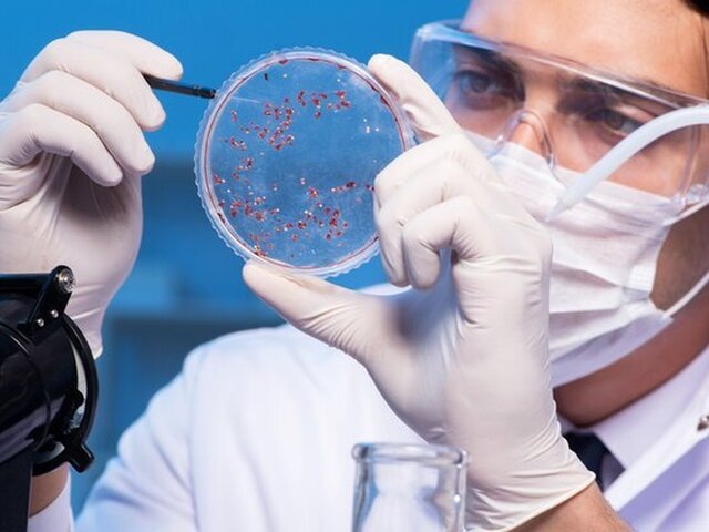    Фото: 123RF/Elnur