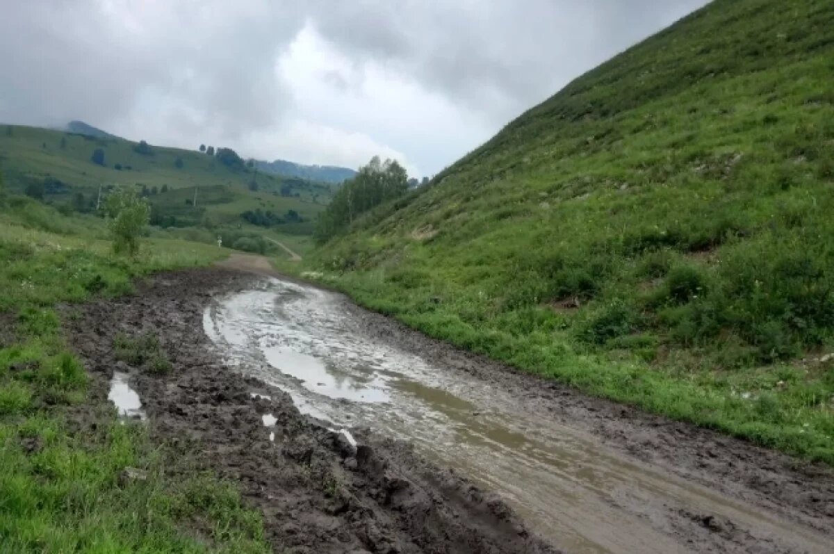    Проблемную дорогу в Солонешенском районе взял на контроль депутат Терентьев