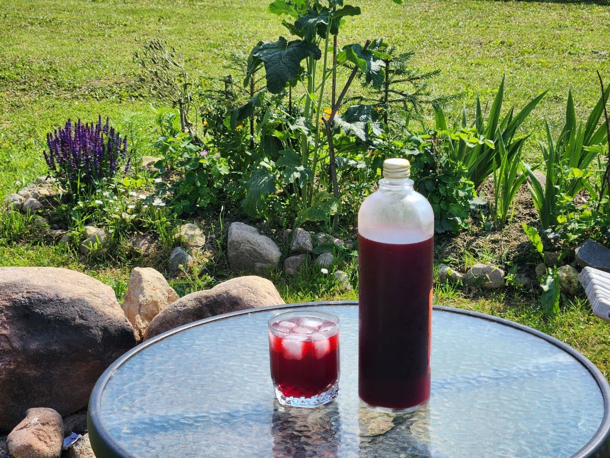 Освежающий компот в жару из ягод и ревеня