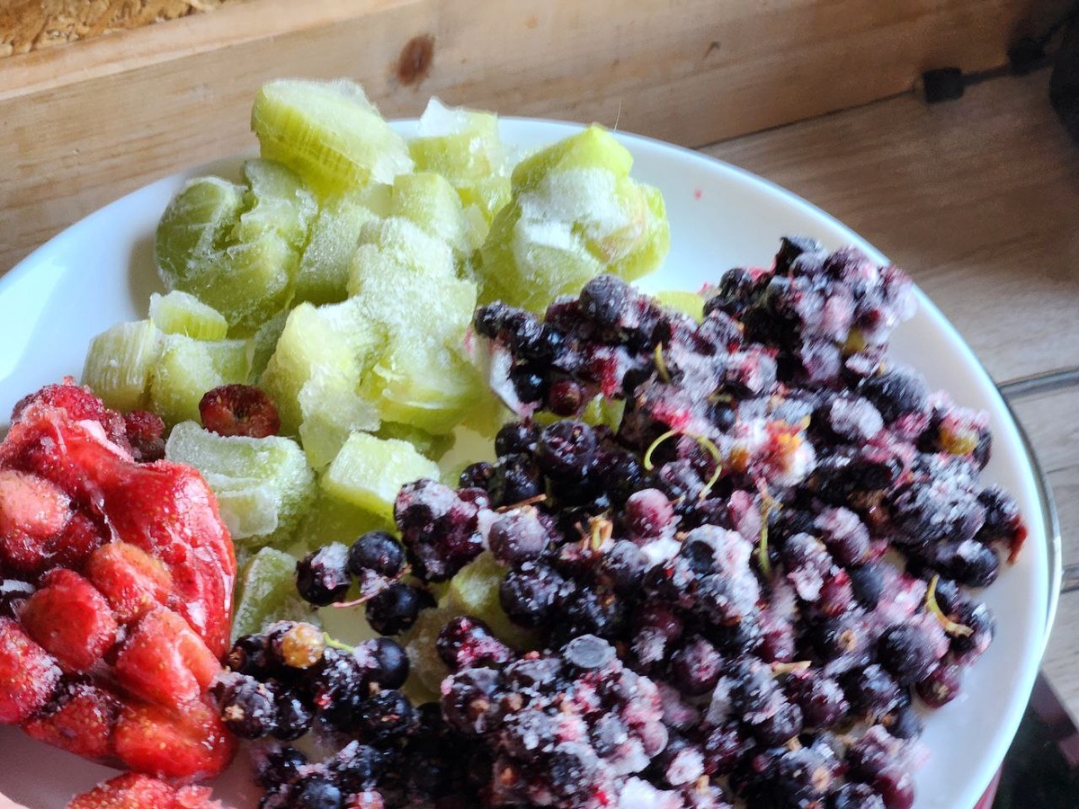 замороженные с весны нарезанные черенки ревеня, клубника и смородина