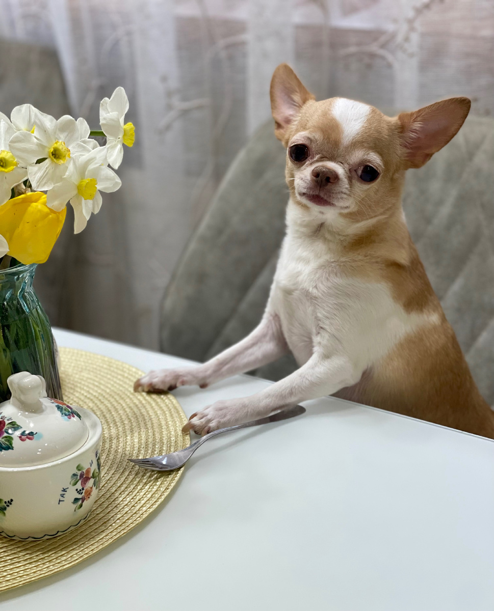 Вместе веселее!