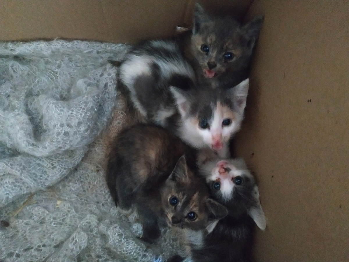 Этот улов дался нелегко