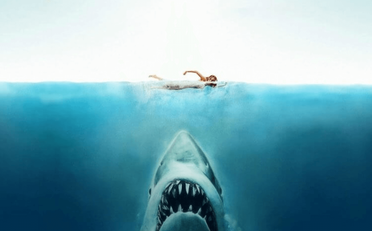    Вряд ли есть люди, которые хотя бы не слышали о фильме Челюсти. Изображение: Яндекс.
