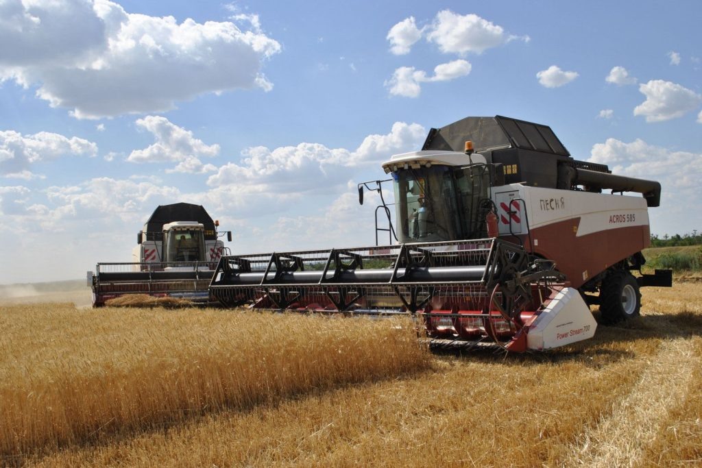   Фото: donland.ru. Галина Ященко