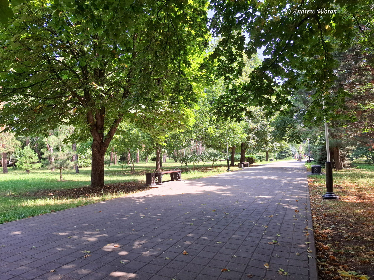 Каштановая аллея парка