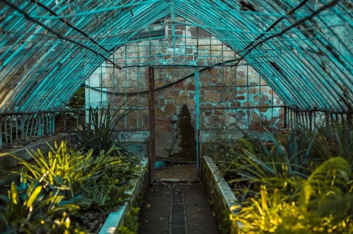    В Нижнекамске уничтожили крупные заросли дикой конопли