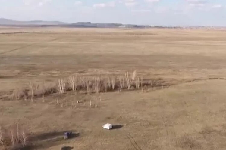 Лесополоса, в которой произошло убийство. Фото: СК