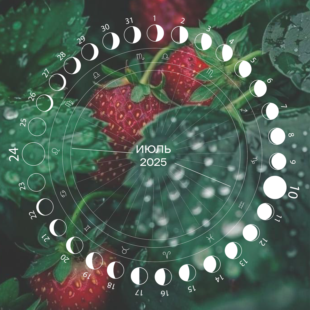 Лунные циклы - Июль 2025