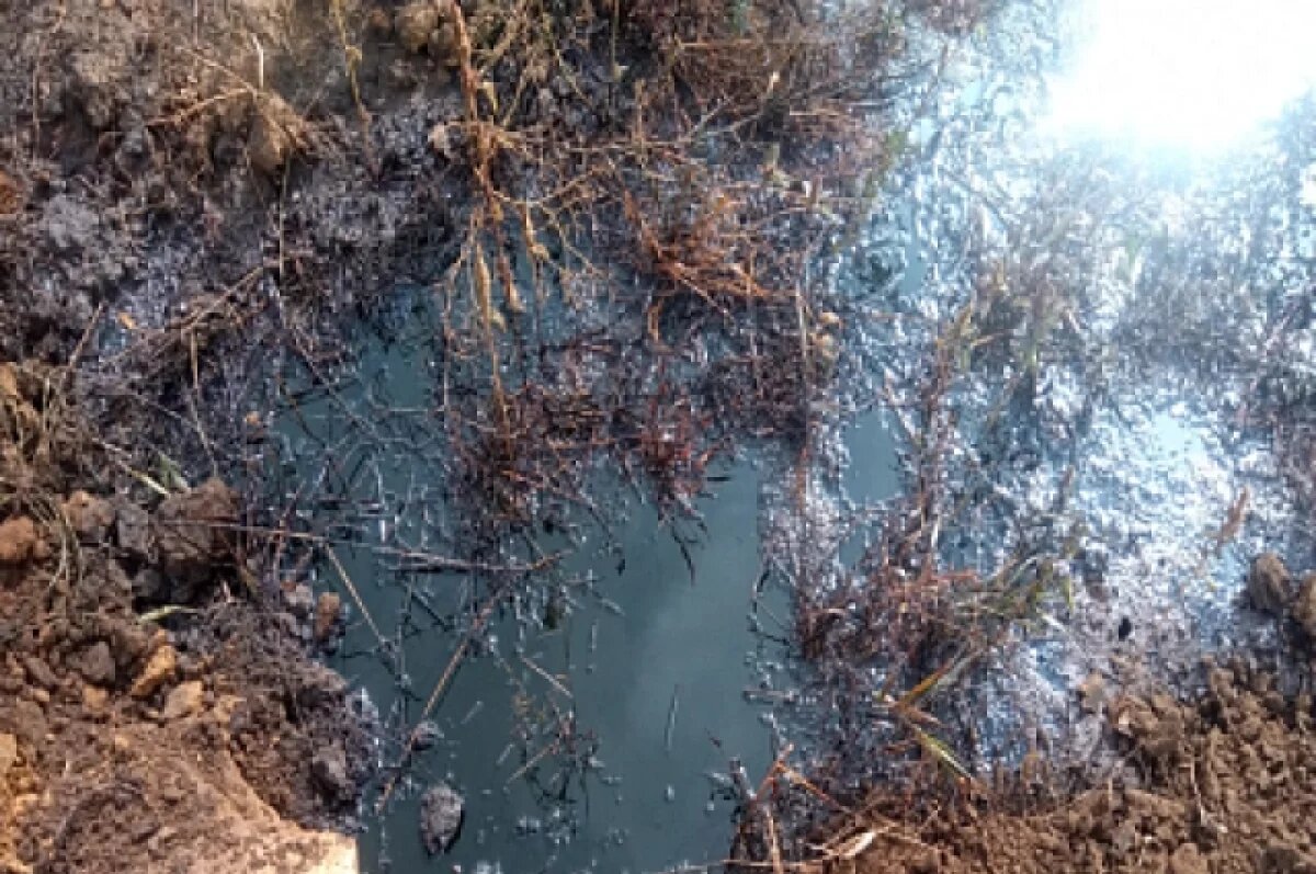    Нефтешлам испортил 550 квадратов земли под Волгоградом на 10 миллионов